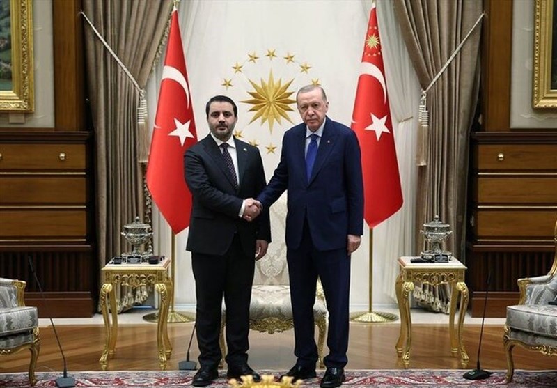 اردوغان شیبانی