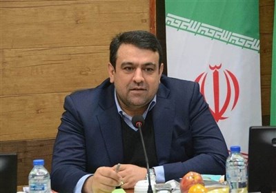 بیاطلاعی نجارزاده از تعداد متقاضیان وام ازدواج