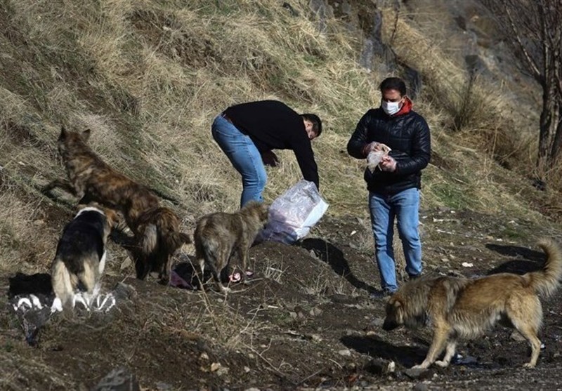 اکوسیستم