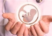 هزینههای بالای فریز تخمک آخرین امیدهای افزایش جمعیت را کمرنگ کرده است