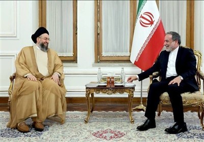 دیدار رهبر جریان حکمت با عباس عراقچی