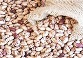 قیمت لوبیا چیتی در5 سال 14 برابر شد