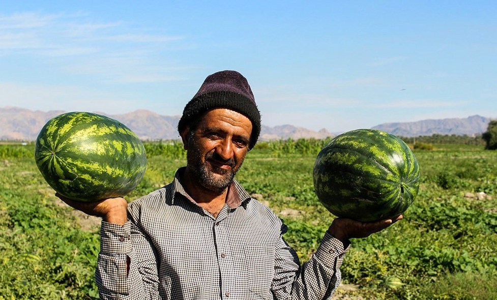 صادرات 28 میلیون دلاری هندوانه ایران به امارات در نیمه نخست 1404